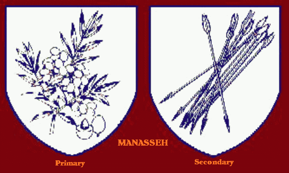 Manasseh Primary and Secondary